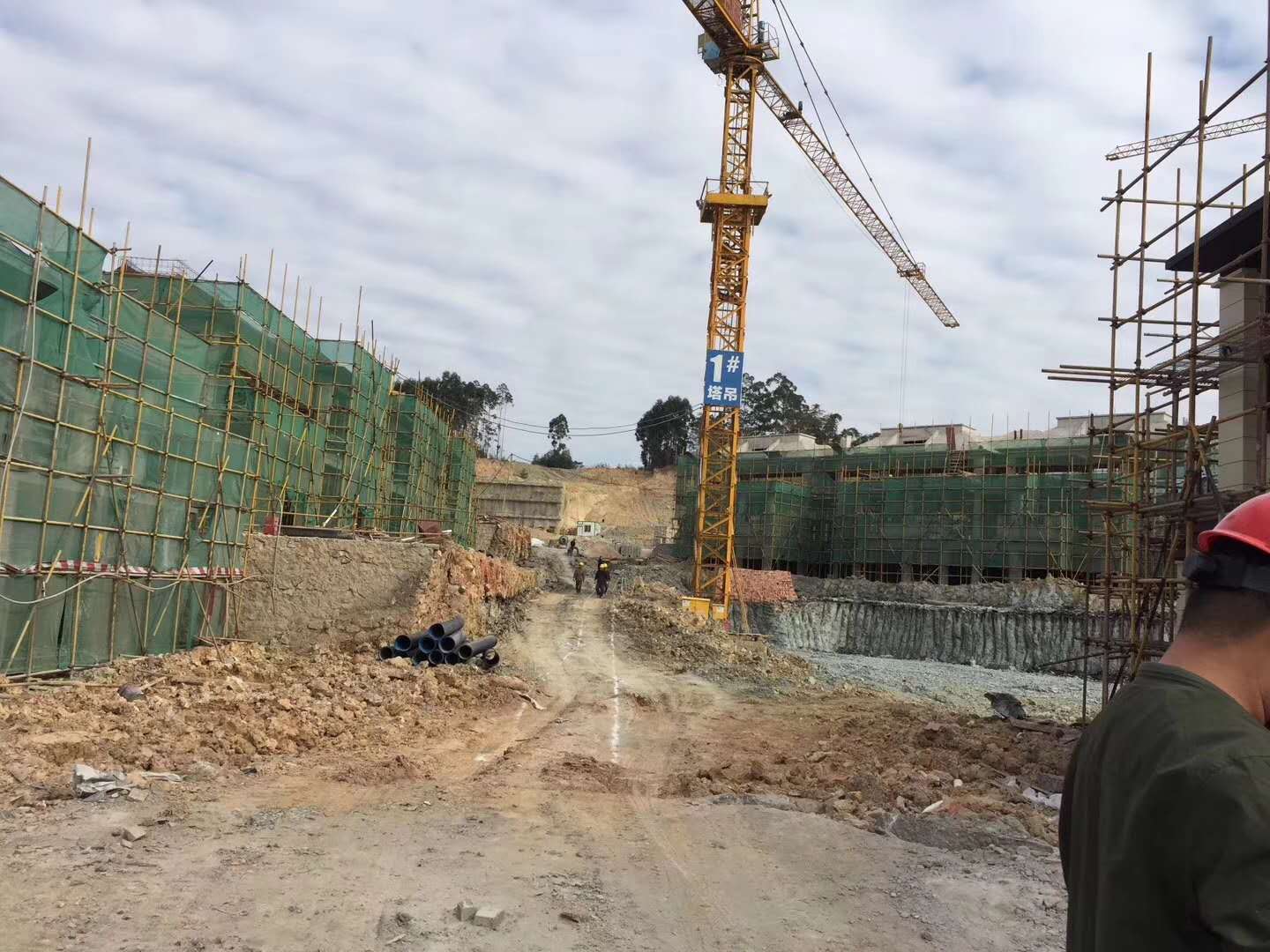 微信圖片_20200505085355.jpg